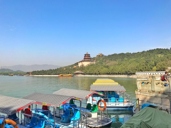 中国・上海「China🇨🇳job⚑⁎∗」の写真：14th Apr. 2017 pic📷
...