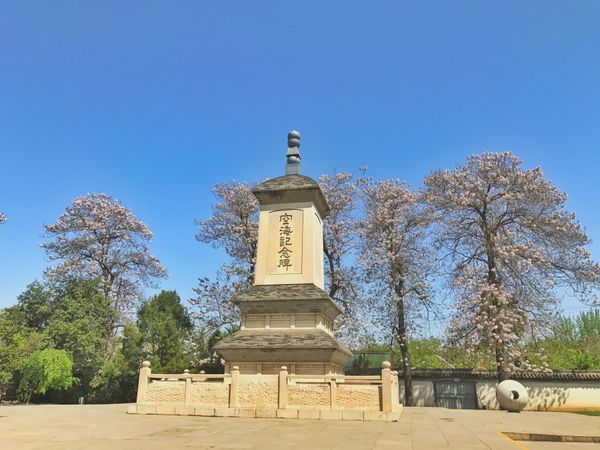 中国・上海「China🇨🇳job⚑⁎∗」の写真：17th Apr. 2017 pic📷
...