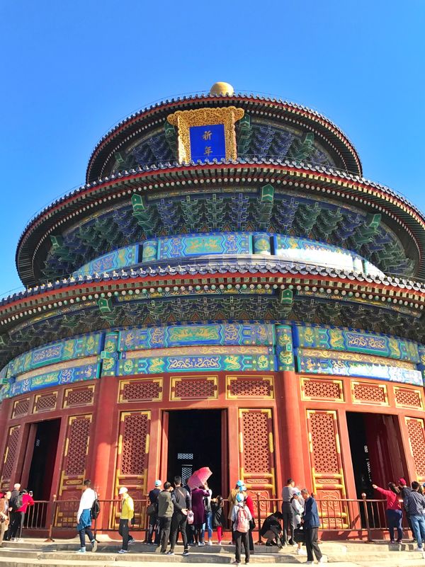 中国・上海「China🇨🇳job⚑⁎∗」の写真：15th Apr. 2017 pic📷
...