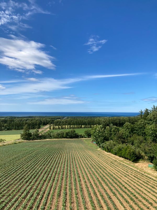 日本・北海道「北海道旅行」の写真