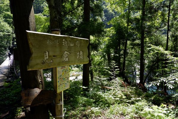 日本「秋山郷からの松代・十日町」の写真：吊り橋めっちゃ怖かった。

橋までの道も...