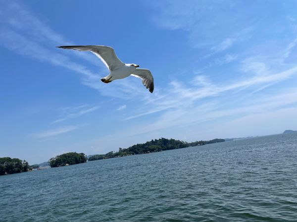 日本・宮城県「鳴子温泉」の写真