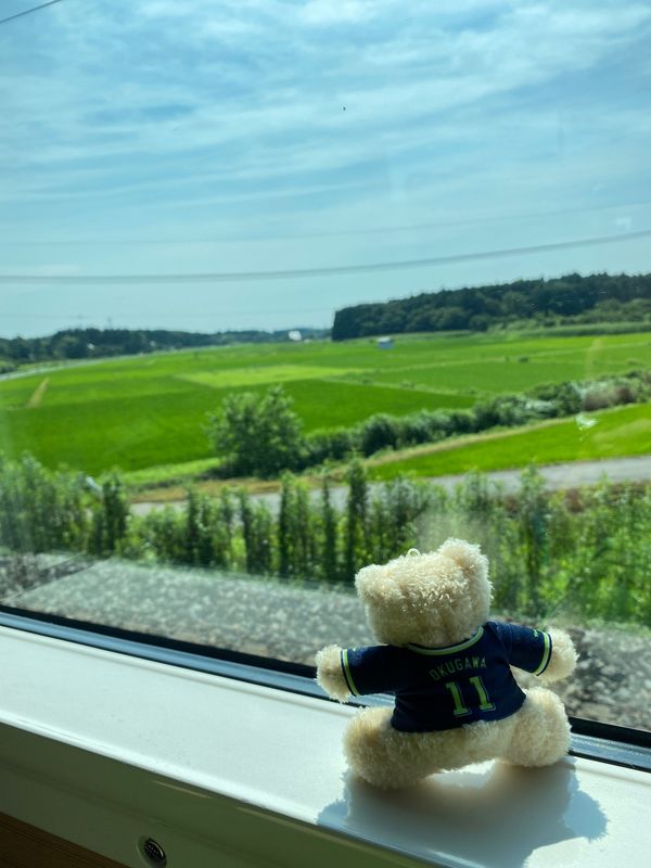 日本・茨城県「茨城 大洗磯前神社　2021.07」の写真