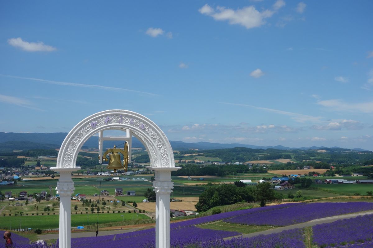 🌅日の出公園🌅

上富良野町にある日の出公園は高台から斜面のラベンダー畑を...