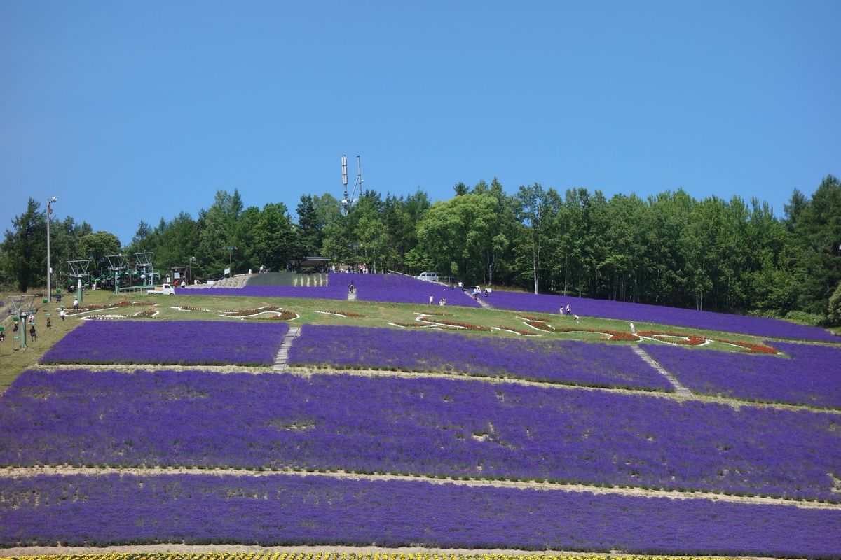 🌽北星山ラベンダー園🌽

ファーム富田からほど近いラベンダー畑です(^^)...