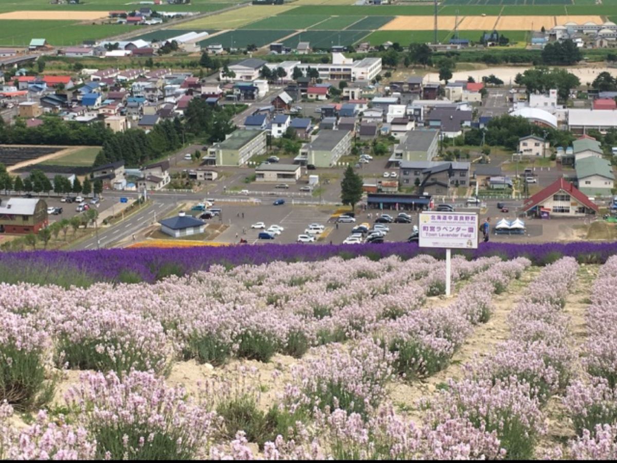 🌽北星山ラベンダー園🌽

ファーム富田からほど近いラベンダー畑です(^^)...