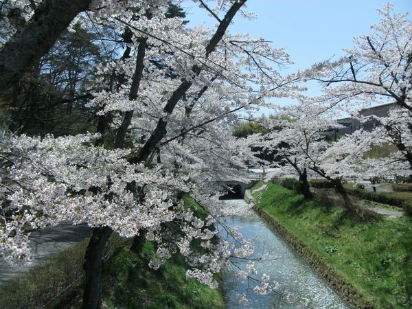 日本・福島県須賀川「20150418福島県須賀川駅」の写真