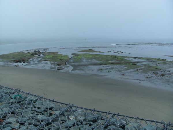 日本・岩手県洋野「20150719岩手県種市駅」の写真