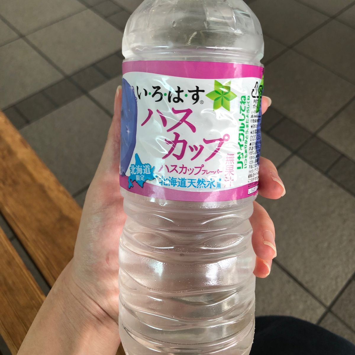 市電も乗った！
この後はいさびり鉄道で函館から木古内へ。
天気が良くなって...