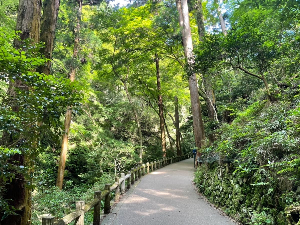 大阪から阪急電車で30分。箕面駅を起点に箕面大滝までのハイキング