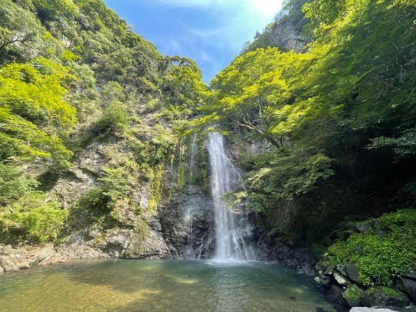 日本・大阪府「箕面日帰りハイキング」の写真：駅からは三キロほど。のんびりと歩いても１...