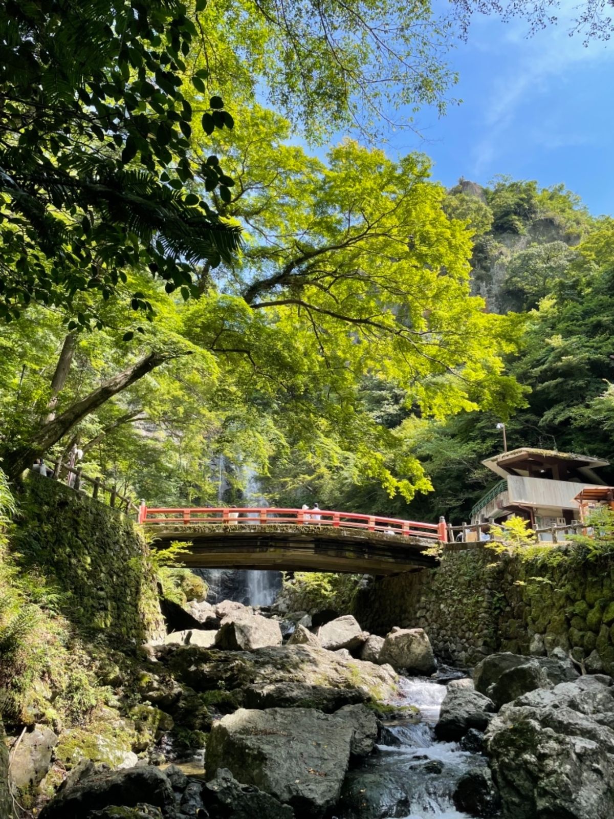 駅からは三キロほど。のんびりと歩いても１時間で大滝に着きます。なかなか見事...