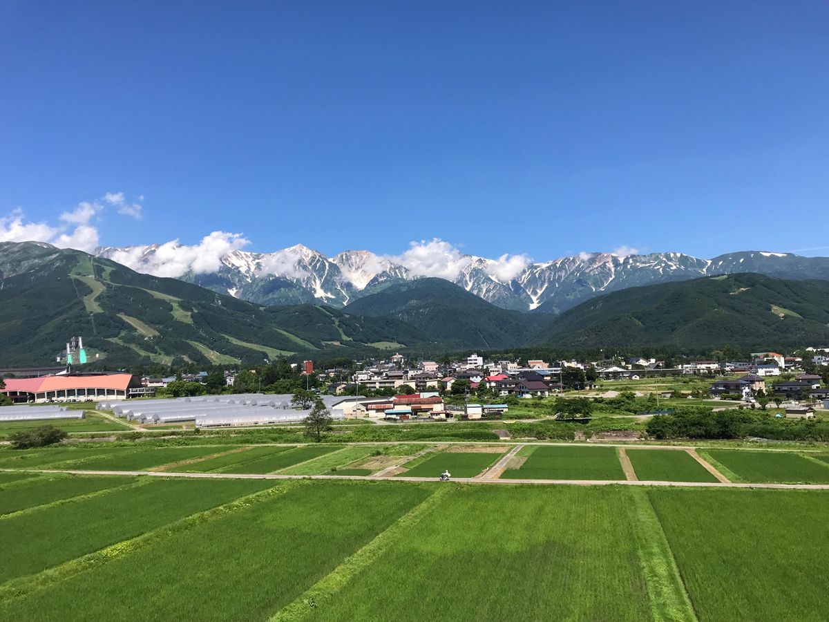 白馬でサイクリング🚴‍♀️
岩岳マウンテンリゾートからの白馬岳🏔
日帰り温...