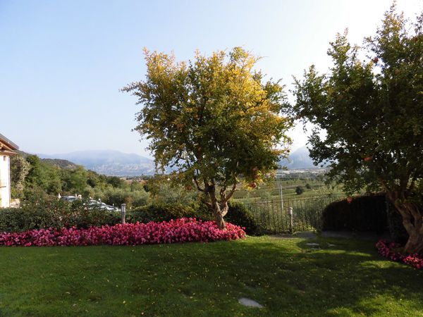 イタリア・フランチャコルタ「イタリアの思い出」の写真：酒飲み向け投稿
フランチャコルタのワイナ...