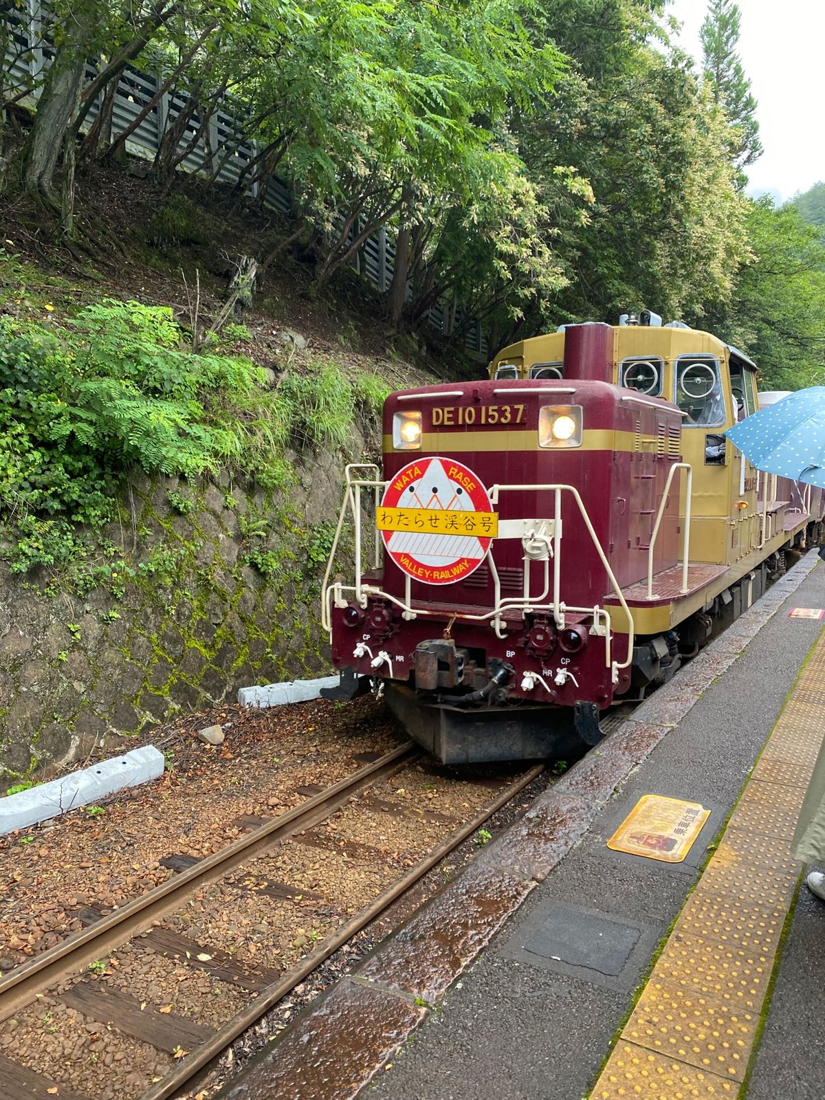 東部ワールドスクウェアからわたらせ渓谷鉄道へ。