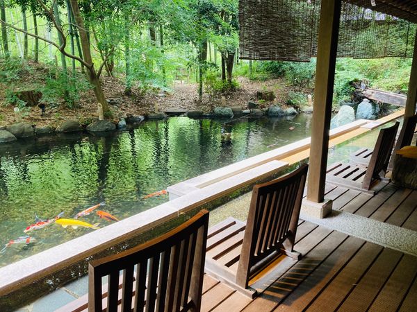 日本・静岡市「静岡･山梨 小旅行」の写真