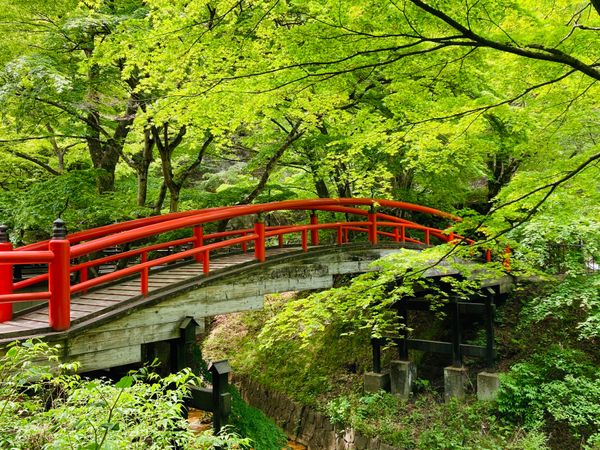 日本「伊香保･四万温泉 旅行」の写真
