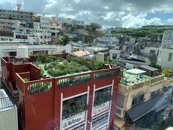 日本・沖縄県「沖縄」の写真