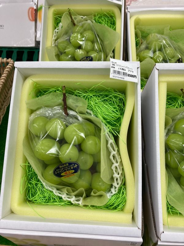 日本・岡山「岡山」の写真