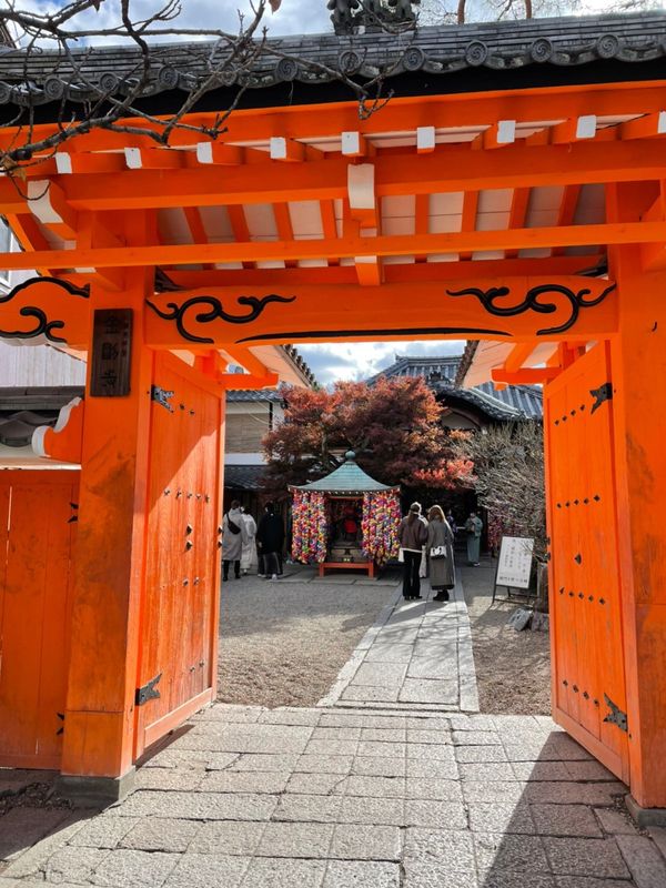 日本・京都「京都、天橋立」の写真