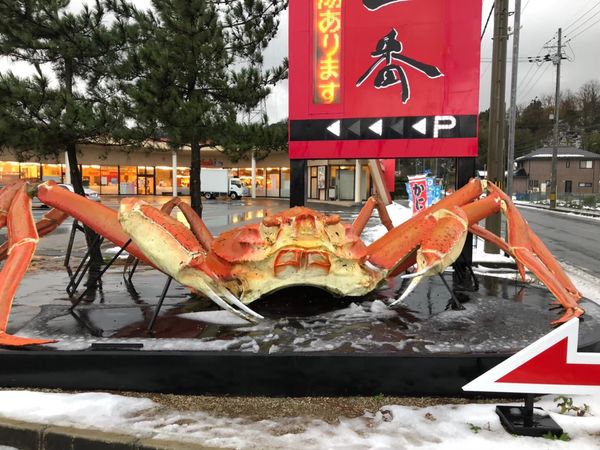日本・京都「京都、天橋立」の写真
