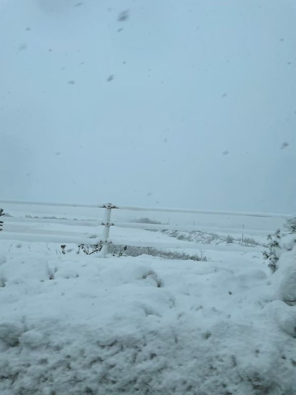 日本・京都「京都、天橋立」の写真