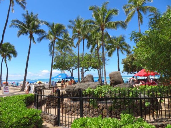 アメリカ(米国)・ハワイ「母親と2人ハワイ」の写真