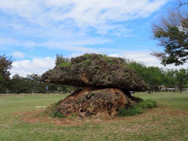 アメリカ(米国)・ハワイ「母親と2人ハワイ」の写真