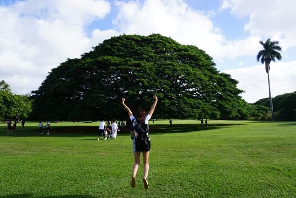 アメリカ(米国)・ハワイ「年越しハワイ  2018〜2019」の写真