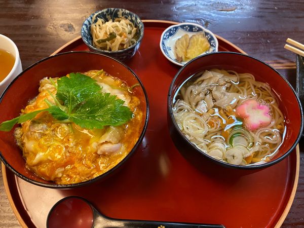 日本・岩手県「秋田一人旅！」の写真：角館にある桜の里のうどん！とあきたプリン...