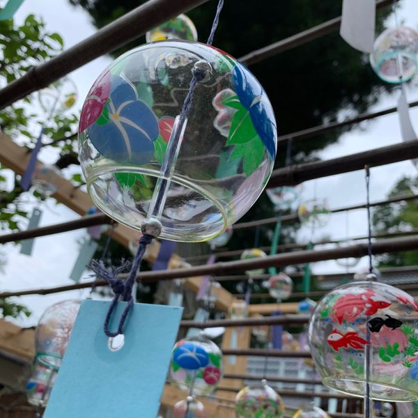 日本・京都府「京都旅行」の写真