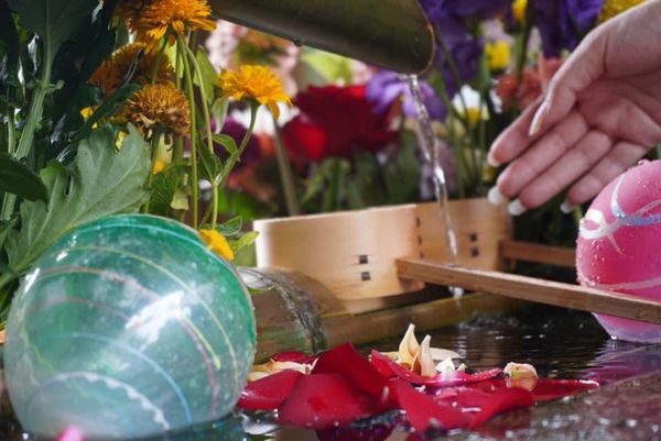 日本・京都府「京都旅行」の写真