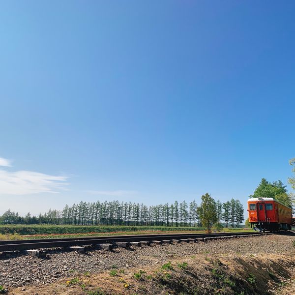 日本「北海道満喫」の写真