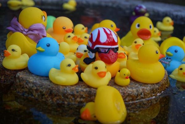 日本・京都府「年越し 奈良・京都の旅」の写真