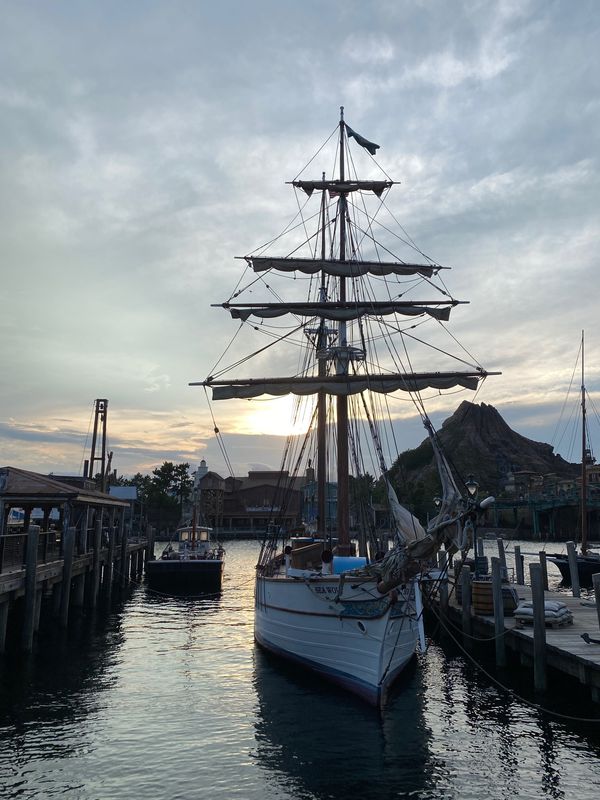 日本・千葉県「千葉・東京旅行（東京ディズニーリゾート・観光）」の写真