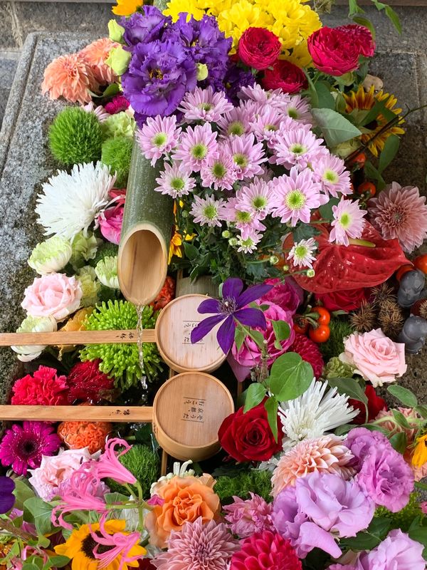 日本・京都府「京都の旅」の写真