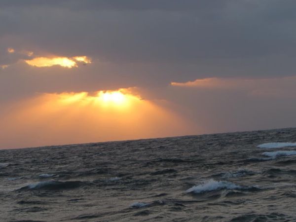 日本・沖縄県「沖縄旅行」の写真