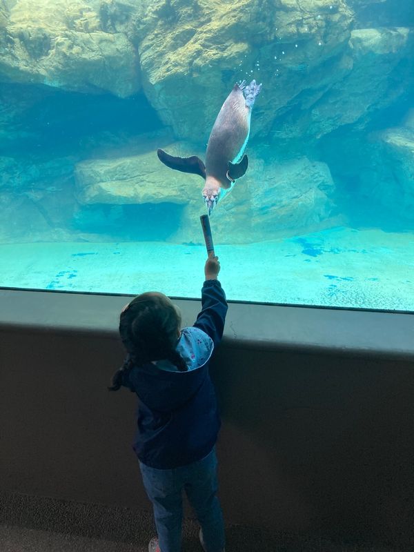 日本・茨城県「茨城旅行」の写真