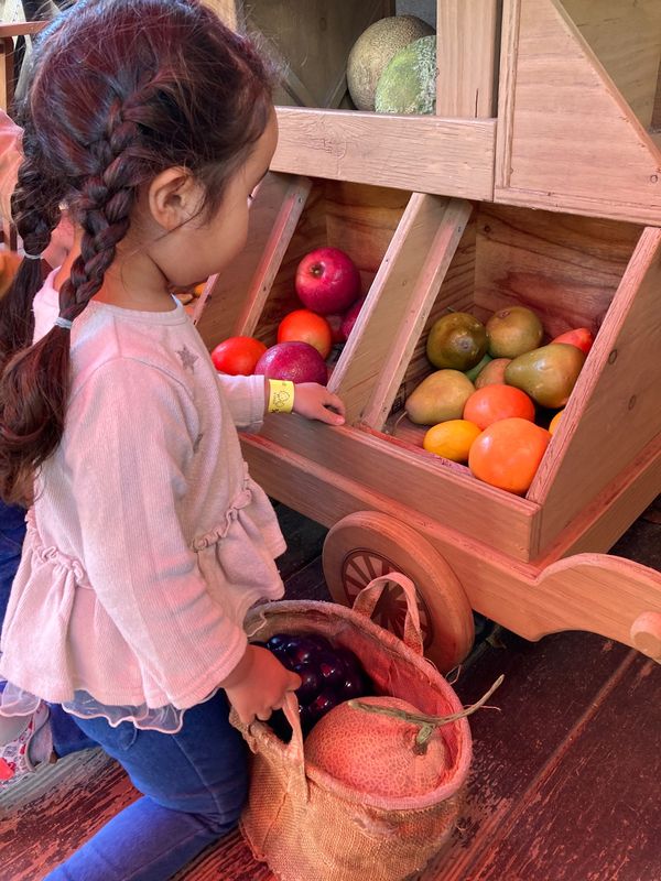 日本・茨城県「イバライド」の写真