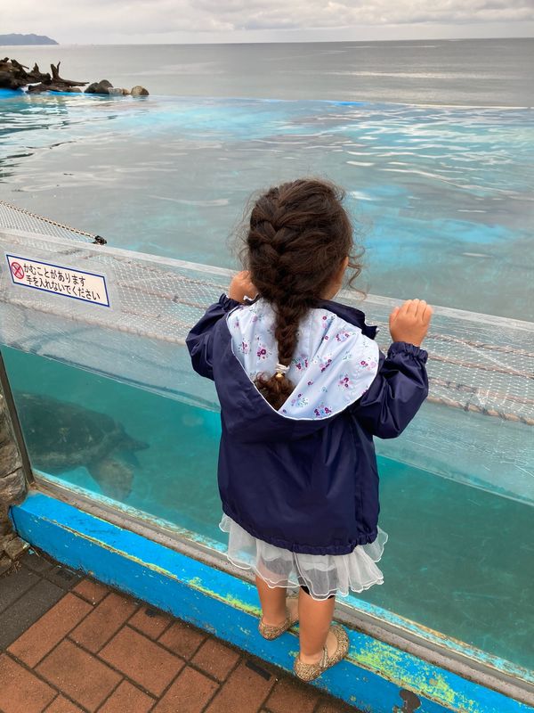 日本・千葉県「館山旅行」の写真