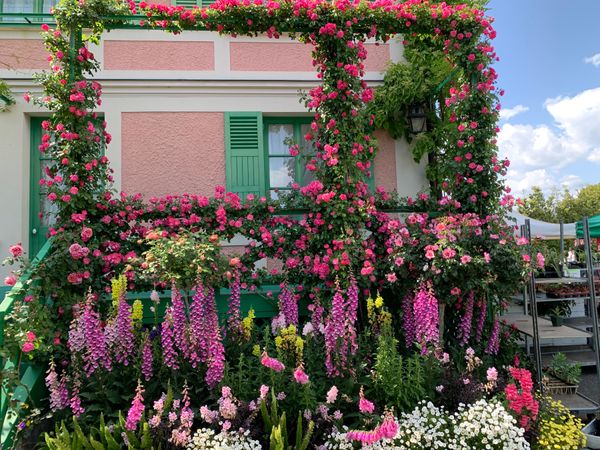 日本・静岡県「お花を見に」の写真