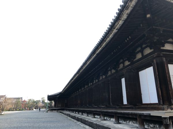 日本・京都府「大阪・京都旅行（野球観戦・観光）」の写真