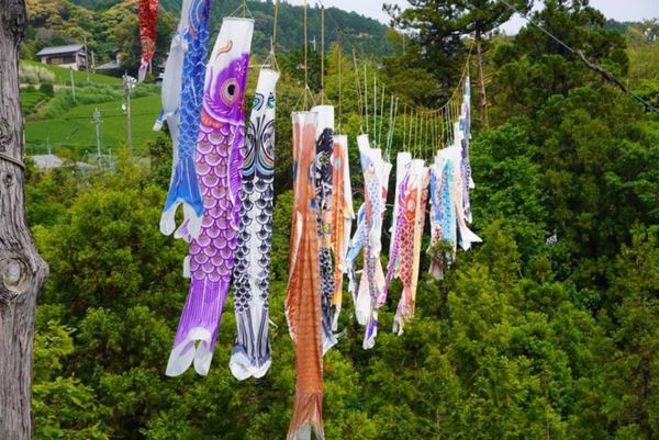 日本・静岡県「お茶を飲みに」の写真