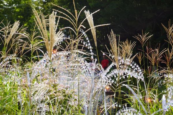 日本・神奈川県「箱根へ」の写真