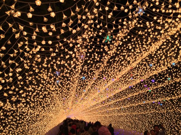 日本・三重県「伊勢神宮へ」の写真