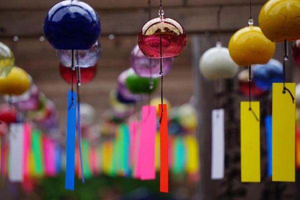 日本・静岡県「静岡県フラフラ」の写真