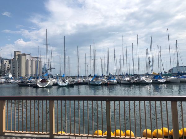 日本・静岡県「清水港」の写真