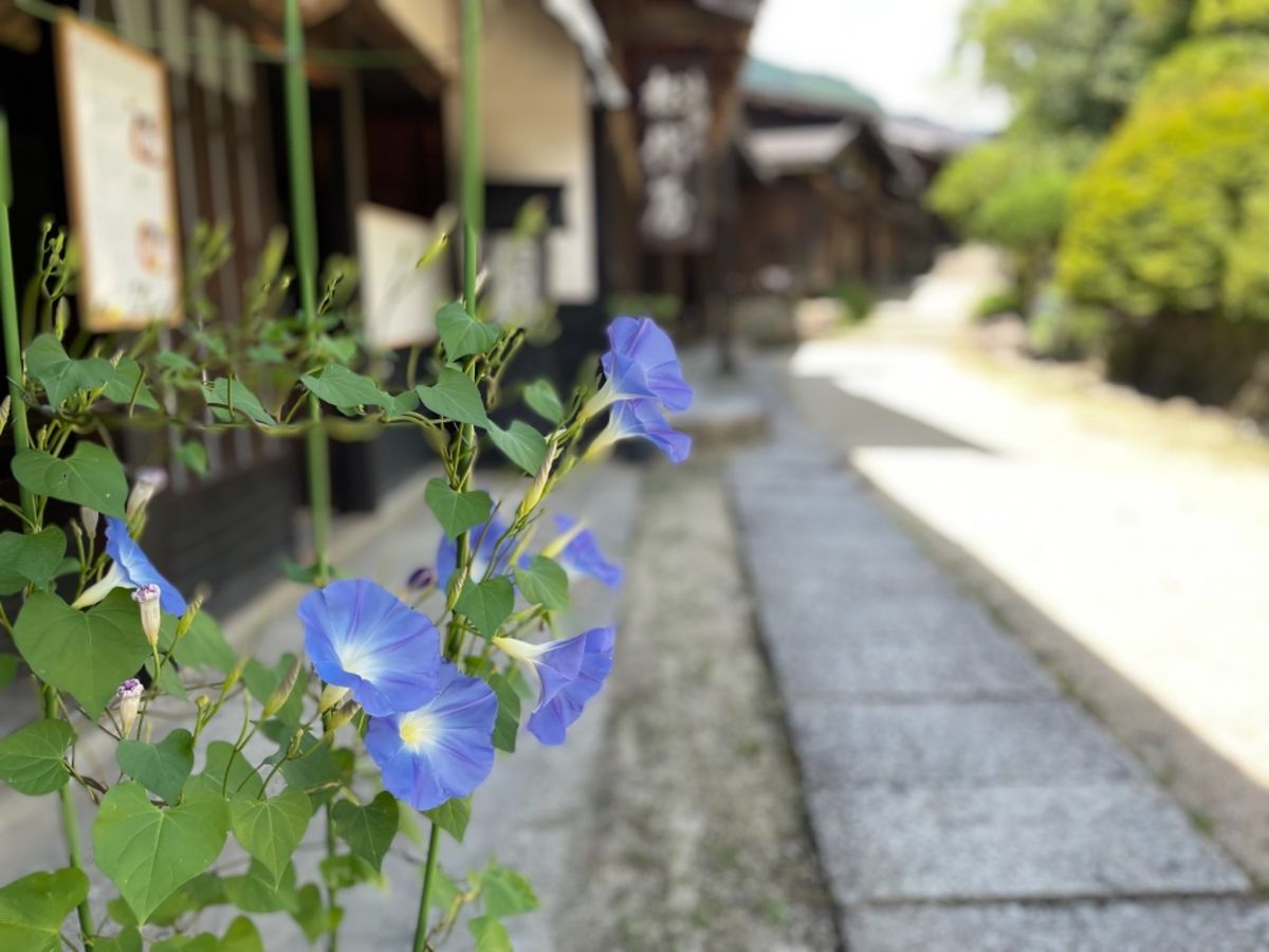 中山道の妻籠宿。昔の宿場町が保存されています。