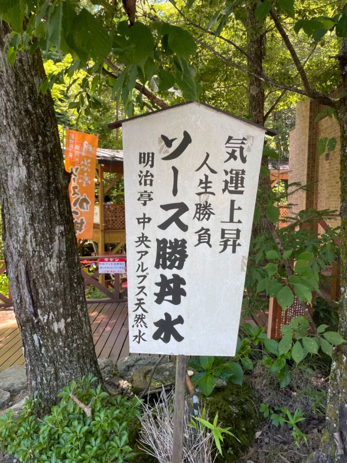 山を降りた後は駒ヶ根名物のソースカツ丼。ボリューム満点でした。