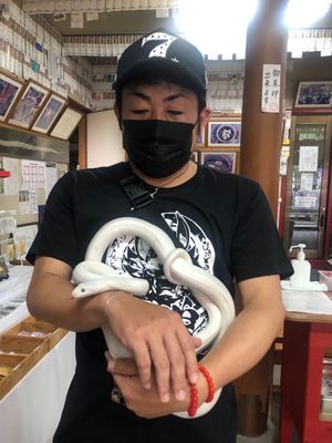 白蛇カワユス